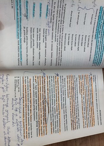 Beden okulyönetiminde yeni yapı vedavranışlar Prof Dr Ziya Bursalıoğlu