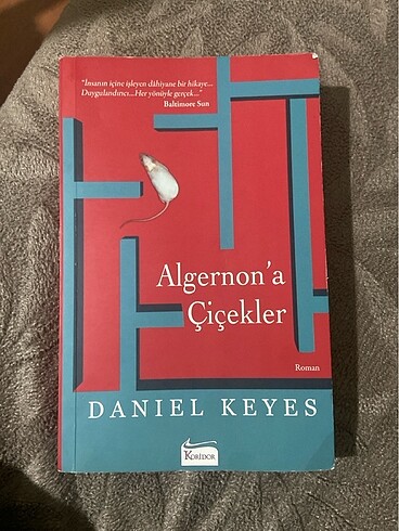 Algernon?a Çiçekler