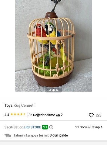 Beden Öten kuşlar