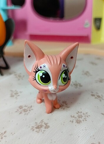 LPS Minişler