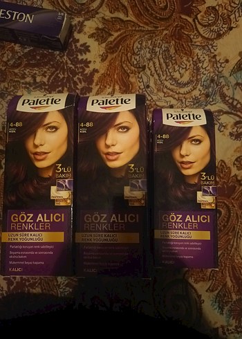Palette Kalıcı Saç Boyası 4-88 Koyu Kızıl - Görsel 2