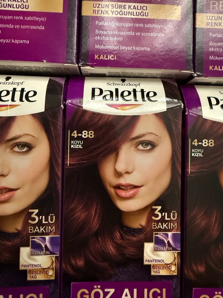 Palette Göz Alıcı Saç Boyası 4-88 Koyu Kızıl - Görsel 2