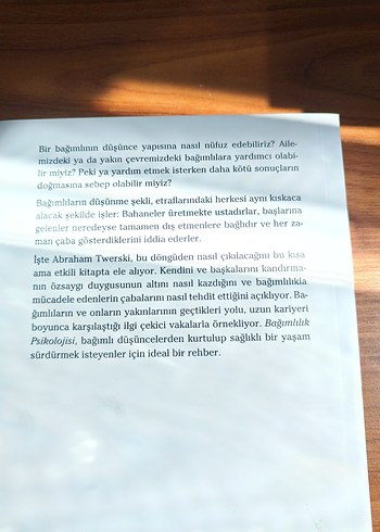 Bağımlılık Psikolojisi - Abraham J. Twerski