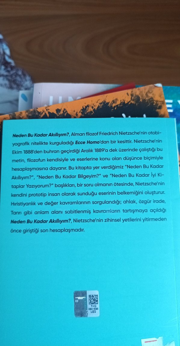 Friedrich Nietzsche - Neden Bu Kadar Akıllıyım? - Görsel 2