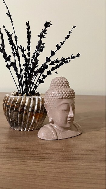  Beden Budda biblo