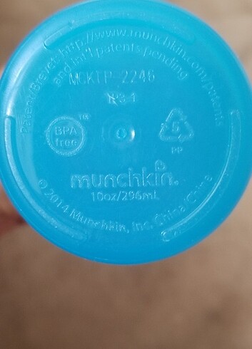 Beden Munchkin bardak, suluk