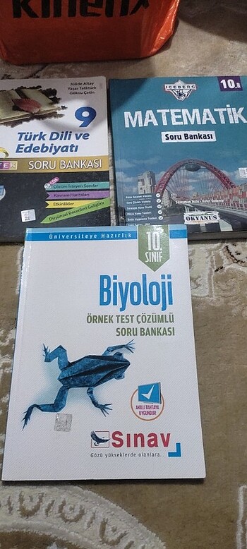 LİSE KİTAP 