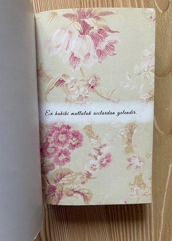 Mutluluğun Öteki Yüzü - Seré Prince Halverson - Görsel 3