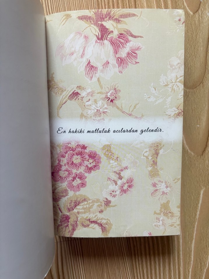 Mutluluğun Öteki Yüzü - Seré Prince Halverson - Görsel 3