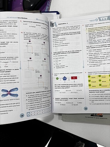 Biyoloji - Görsel 3