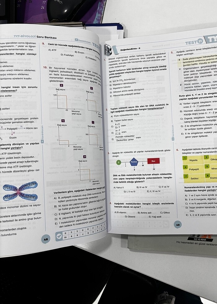 Biyoloji - Görsel 3