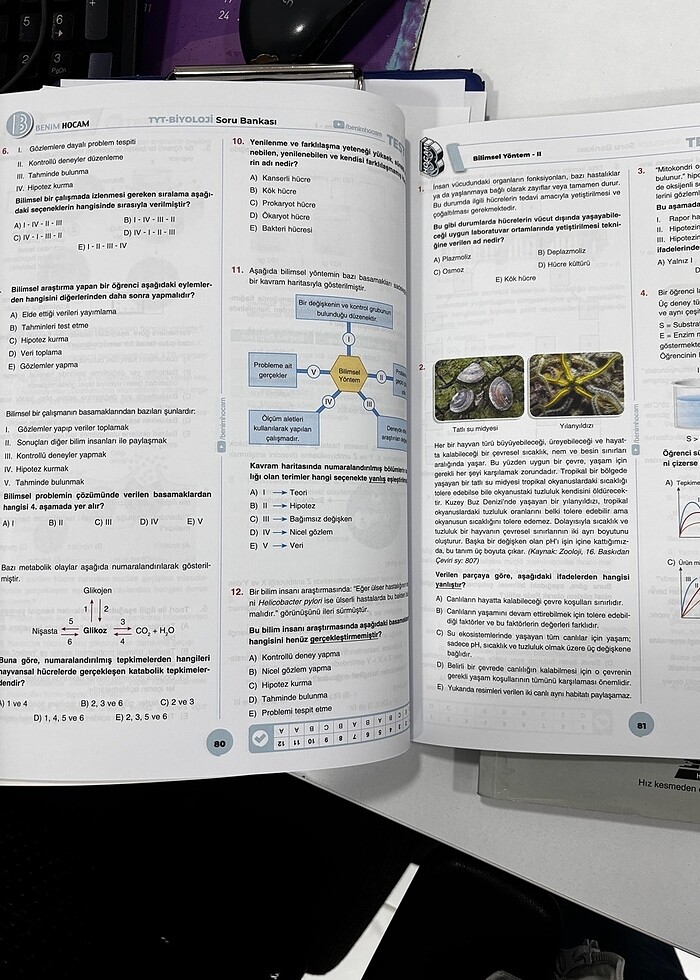 Biyoloji - Görsel 5