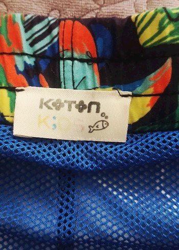 Erkek  Renkli Desenli Mayo Şort - Görsel 2