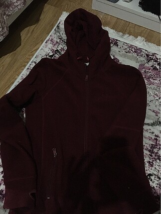 ltb polar