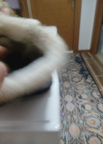 Kız Çocuk Siyah Renkli Nakışlı Kürklü Bot - Görsel 5