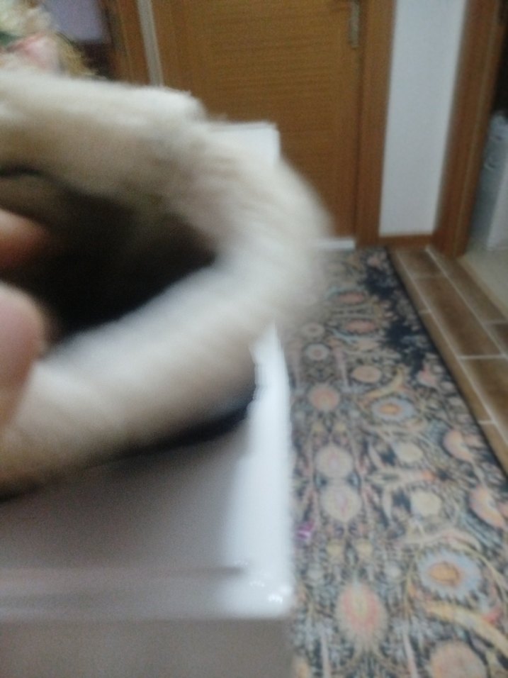 Kız Çocuk Siyah Renkli Nakışlı Kürklü Bot - Görsel 5