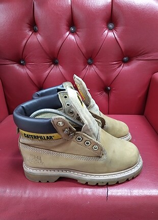 Cat 37 Numara 