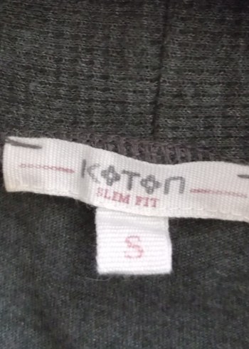 koton boyunlu erkek tişört - Görsel 6