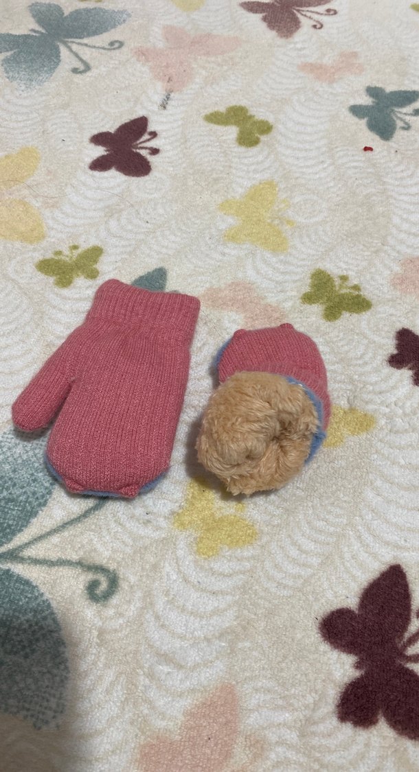 Nakışlı Renkli Kız Çocuk Eldiveni - Görsel 3