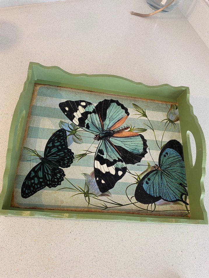 Kelebek Desenli Turkuaz Çerçeveli Tepsi - Görsel 4