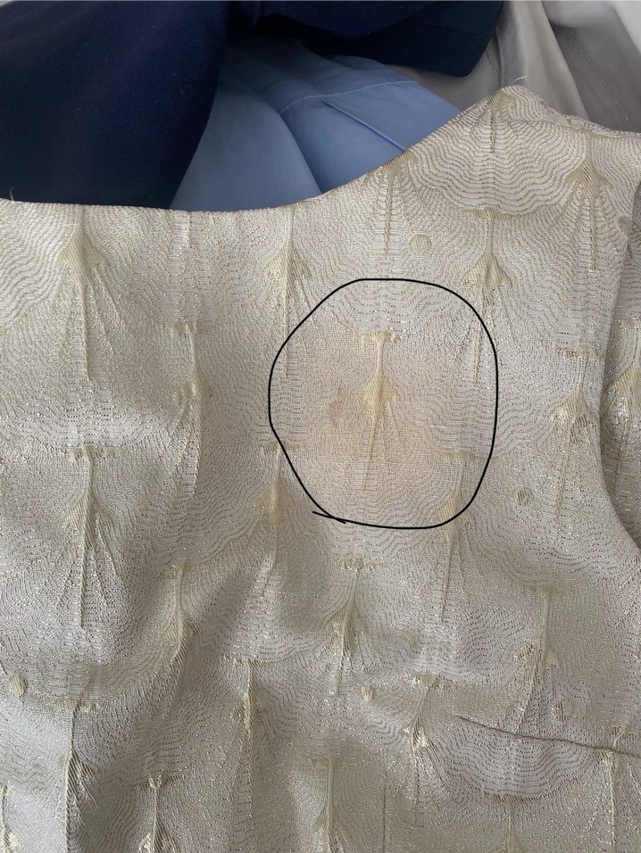 Kısa Bej Dantel İşlemeli Kadın Ofis Elbisesi - Görsel 2