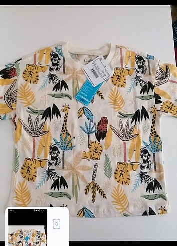 LC Waikiki Takım