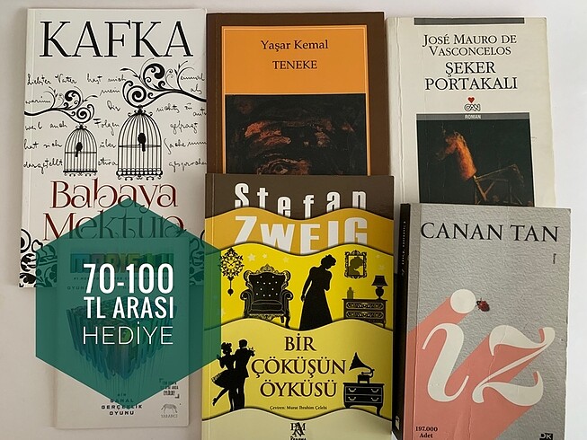 Beden Renk Kurtlara Söyle Eve Döndüm