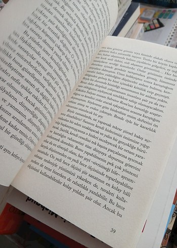 Üç Köşeli Dünya - Natsume Soseki - Görsel 5