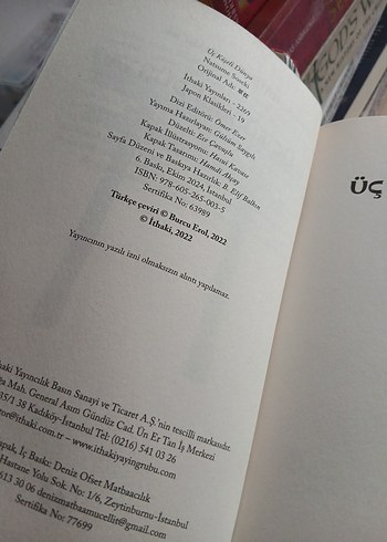 Üç Köşeli Dünya - Natsume Soseki - Görsel 6