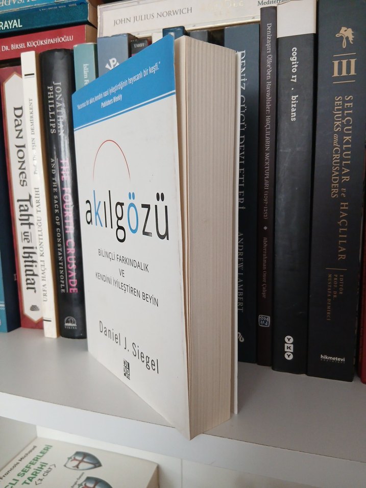 Akıl Gözü - Bilinçli Farkındalık Kitabı - Görsel 3