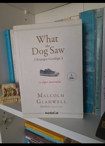 What The Dog Saw
