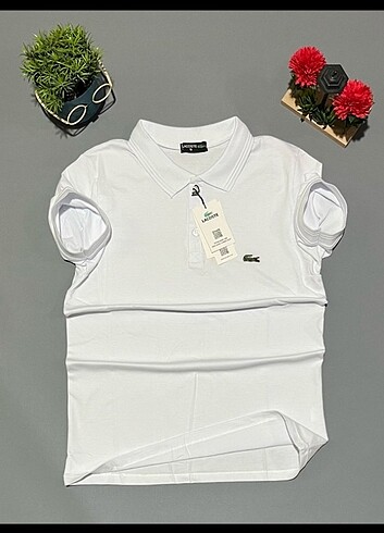 Lacoste Polo Yaka Tişört 