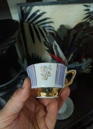 Beden Vintage fincan