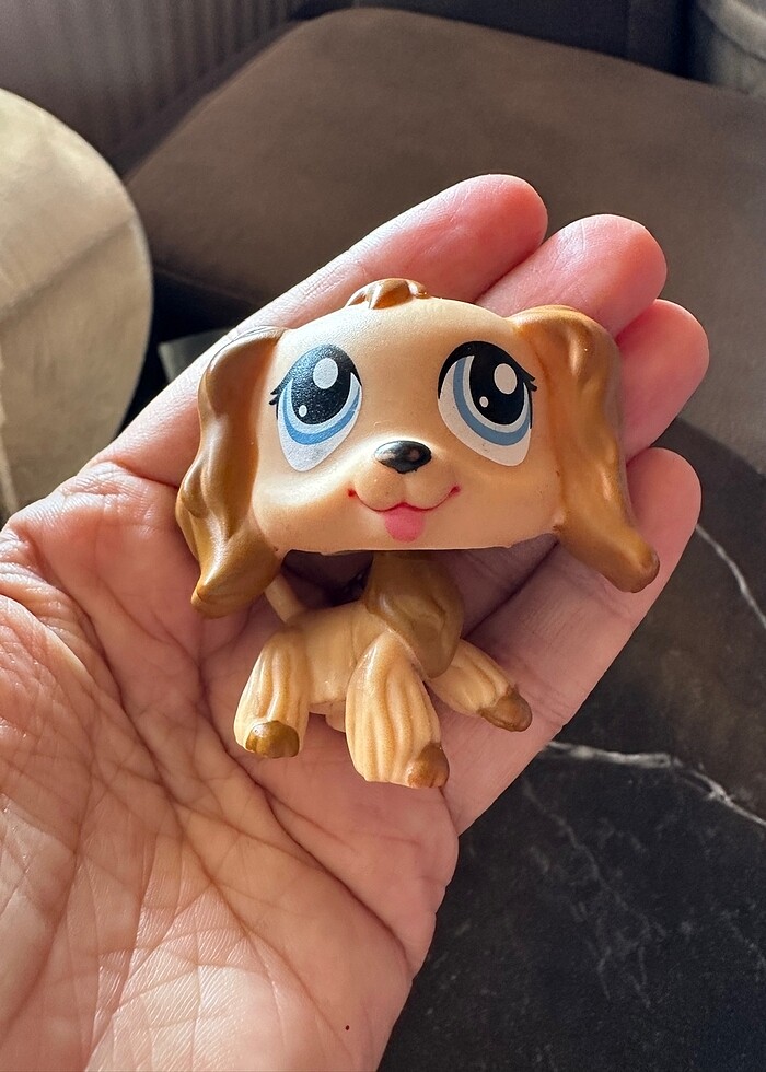 Miniş Köpek - Görsel 2