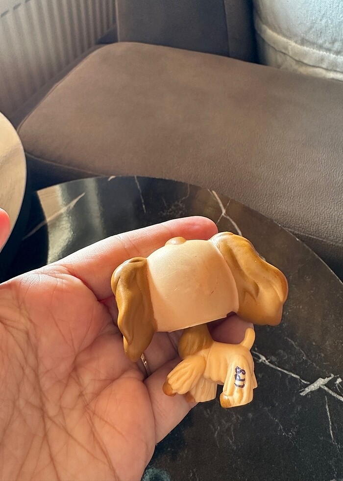 Miniş Köpek - Görsel 4