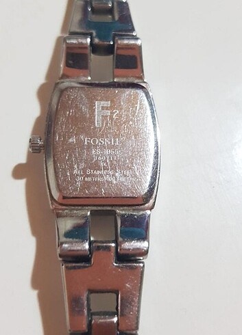 Fossil bayan saat