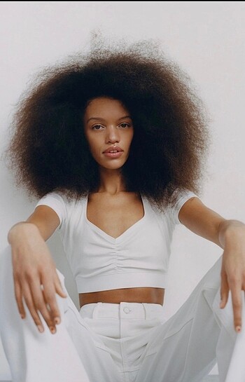 Zara crop top