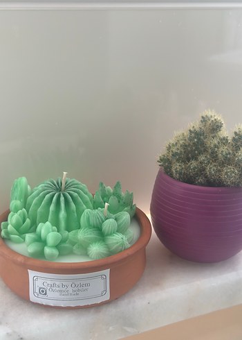 Zara Home El yapımı kaktüs mum