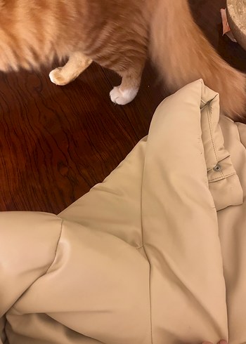 Bej Deri Kadın Kışlık Mont - Görsel 3