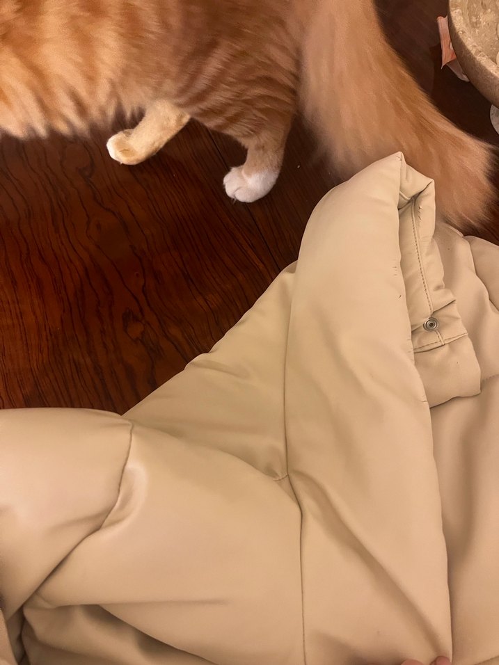 Bej Deri Kadın Kışlık Mont - Görsel 3