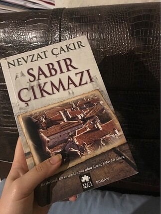 Bu da çok güzel bir ege romanı
