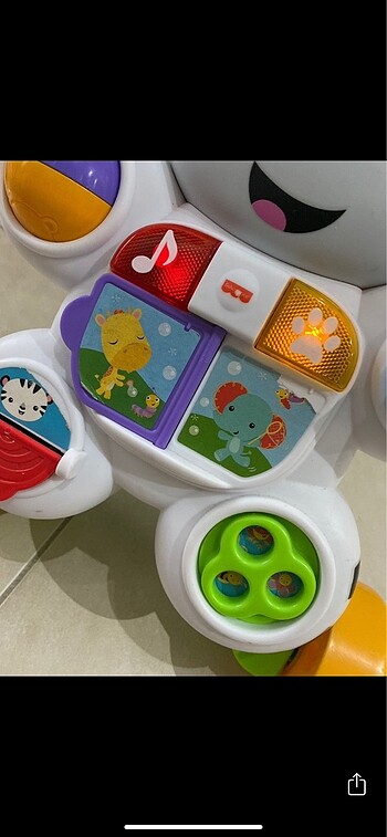 Beden Renk Zebra yürüteç