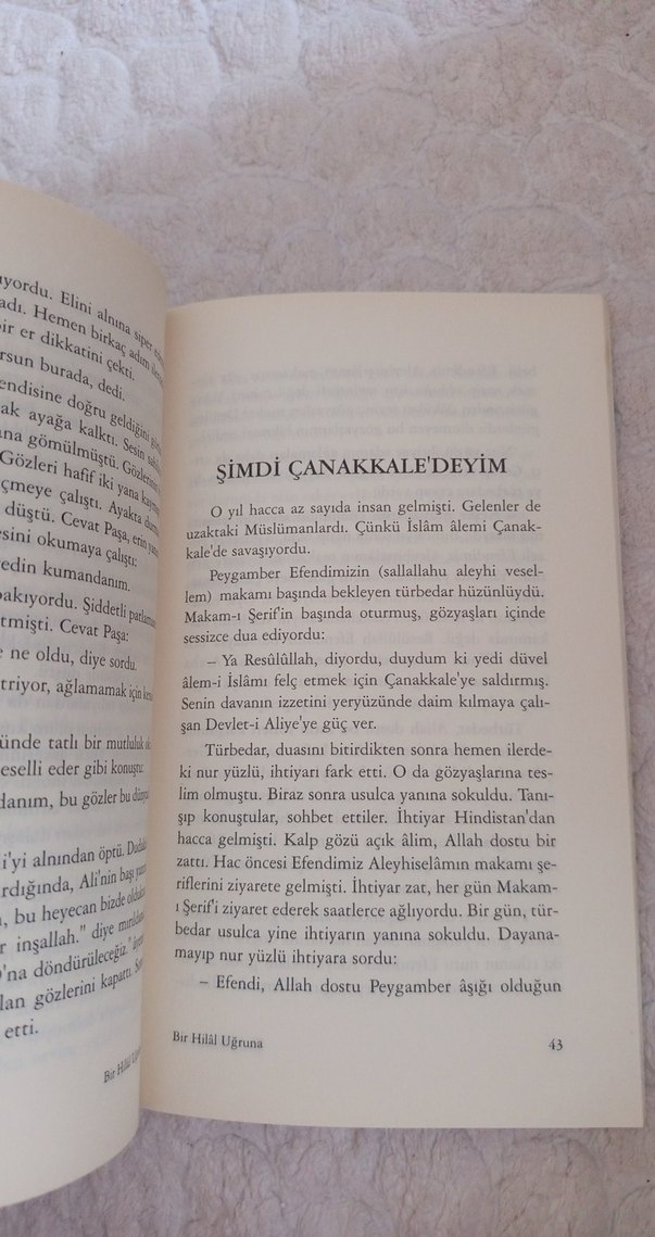 Bir Hilal Uğruna - Arif Akpınar - Görsel 2