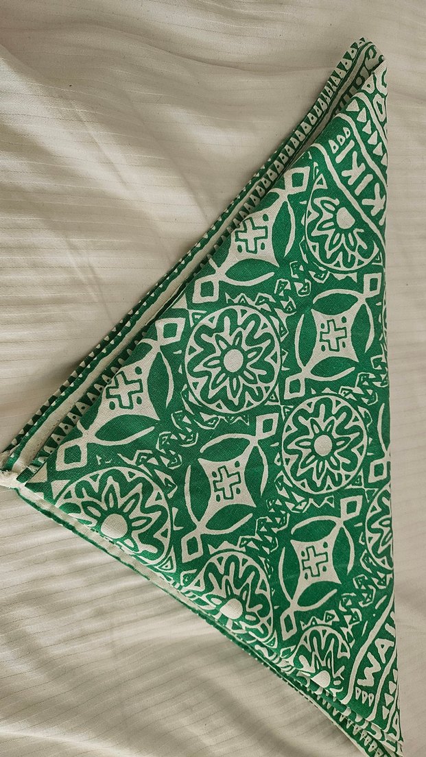 Yeşil Bohem Desenli Kadın Fular - Görsel 4