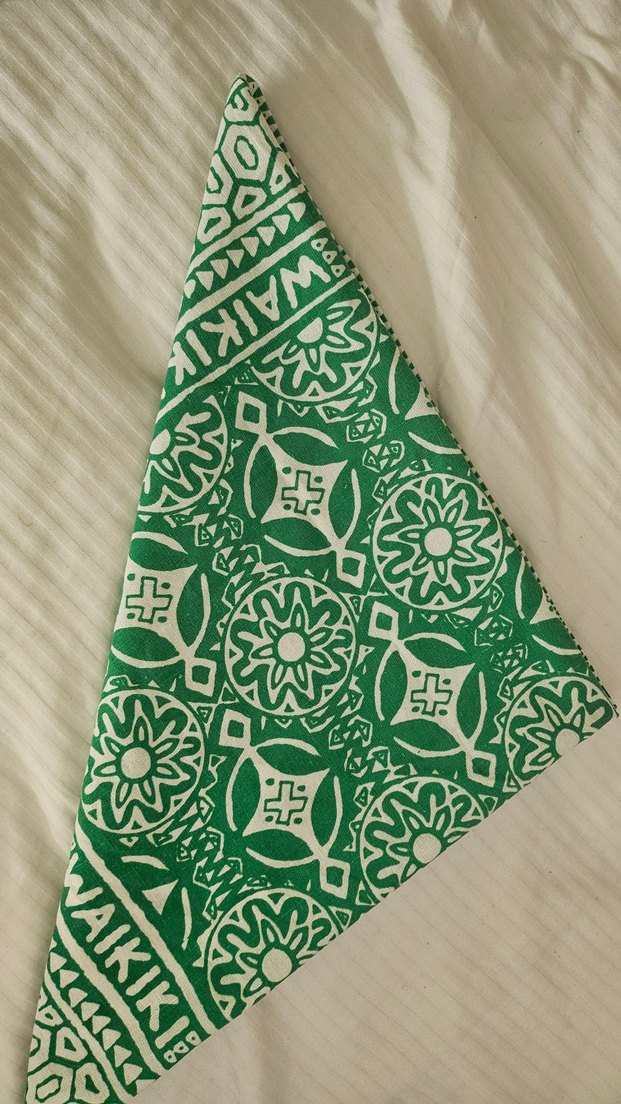 Yeşil Bohem Desenli Kadın Fular - Görsel 5