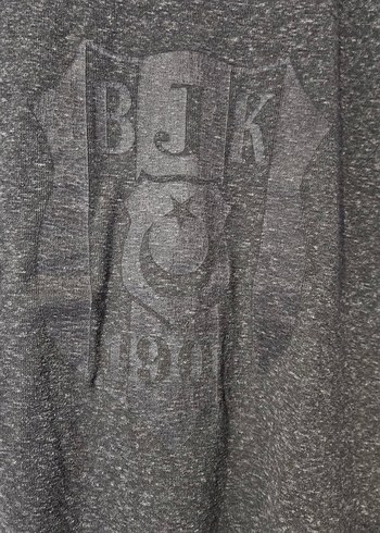 BJK Baskılı Gri Erkek Tişört - Görsel 3