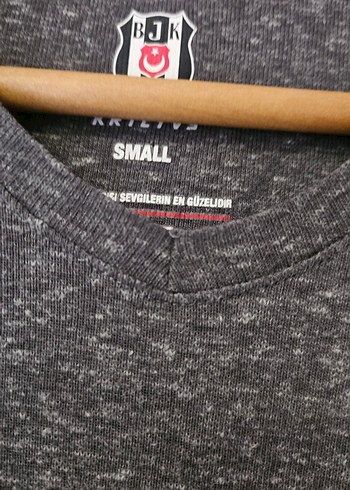 BJK Baskılı Gri Erkek Tişört - Görsel 4