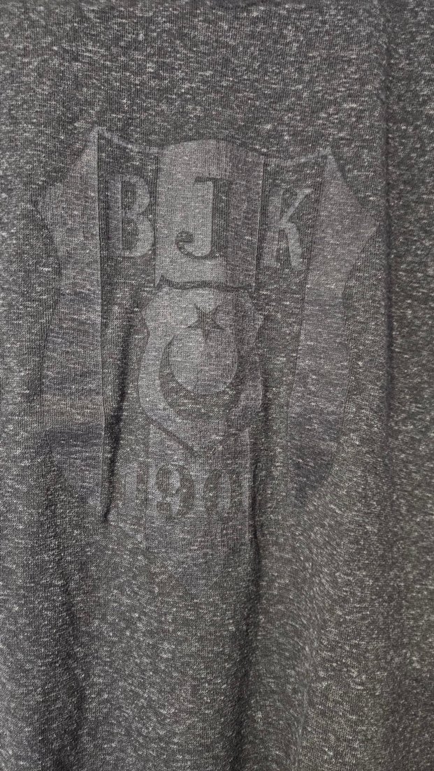 BJK Baskılı Gri Erkek Tişört - Görsel 3
