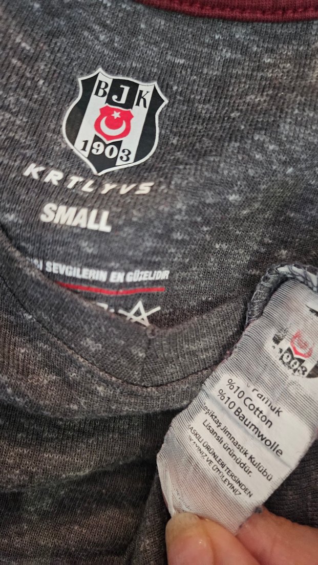 BJK Baskılı Gri Erkek Tişört - Görsel 5