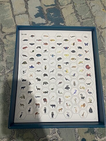 Orman dedektifi - Görsel 2